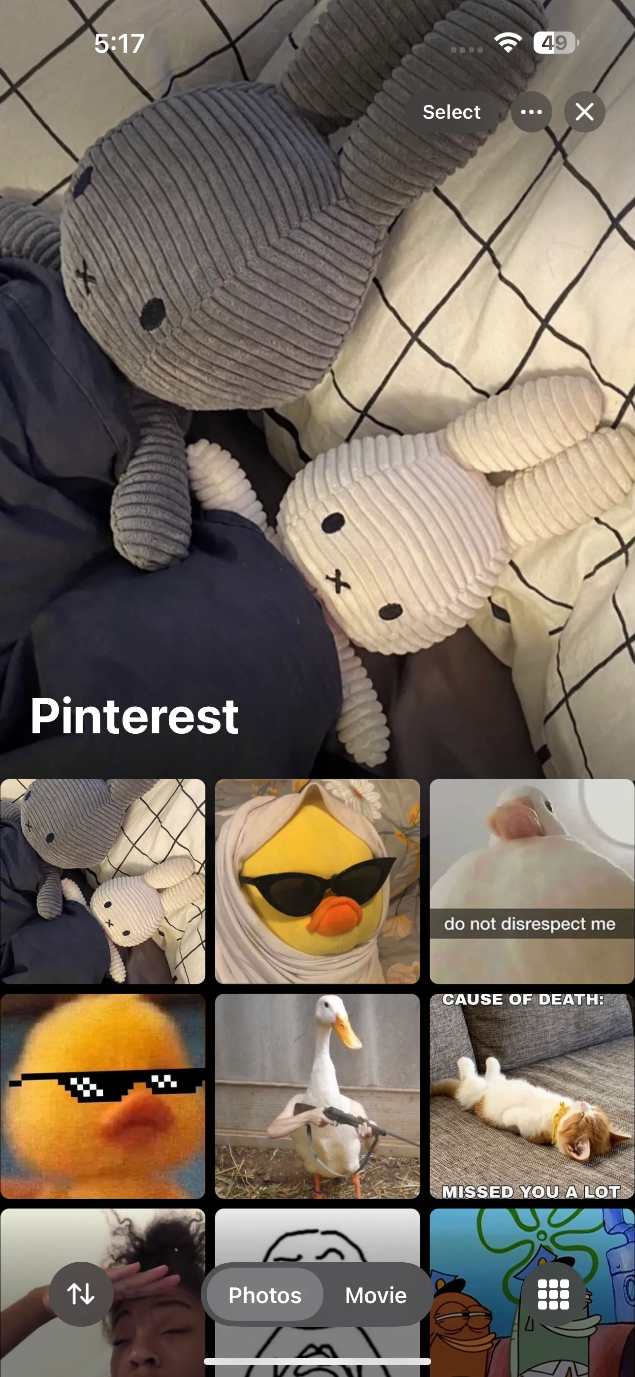 Album mang tên &quot;Pinterest&quot; trong ứng dụng Ảnh trên iOS, chuẩn bị cho việc lọc ảnh.
