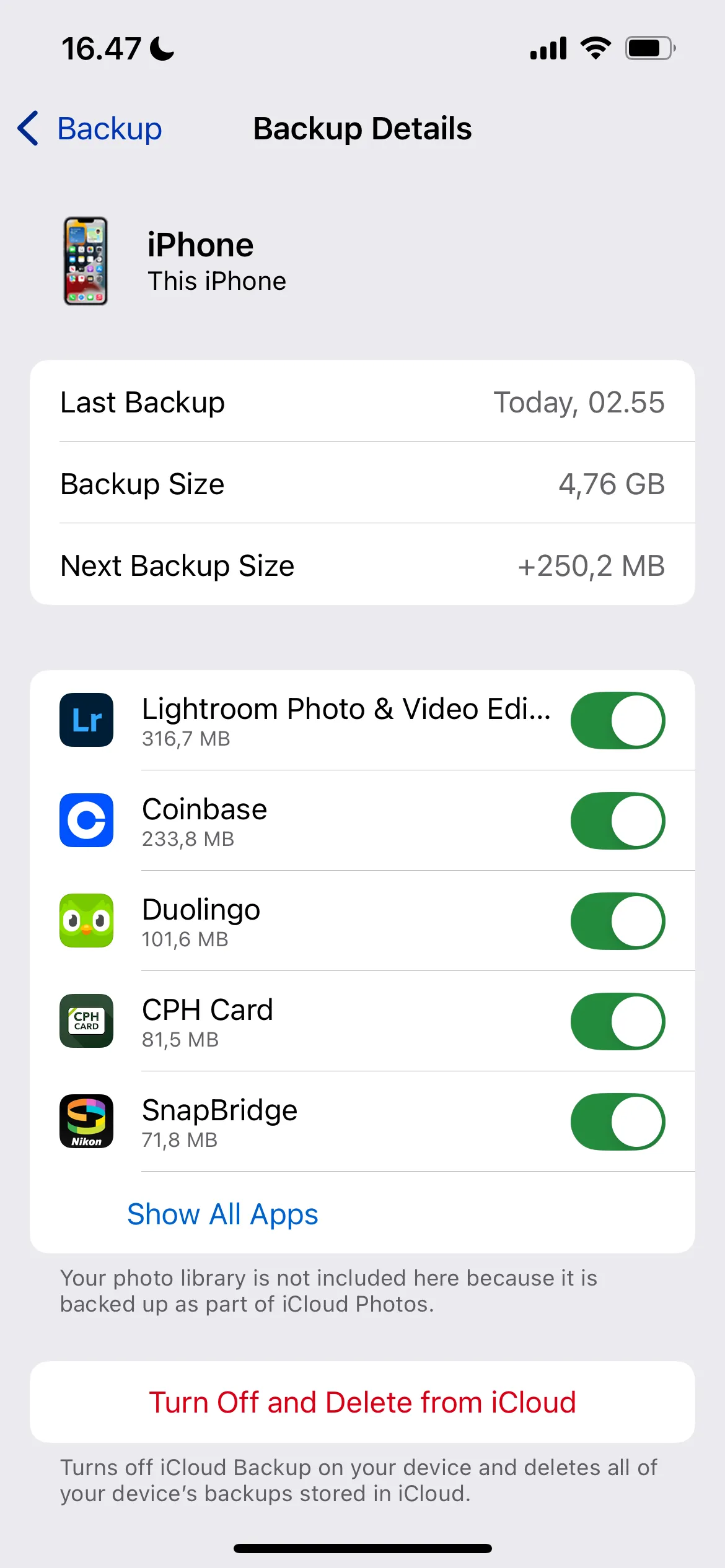 Ảnh chụp màn hình: Chi tiết sao lưu iCloud, cho phép người dùng xem và quản lý dữ liệu sao lưu của từng ứng dụng.