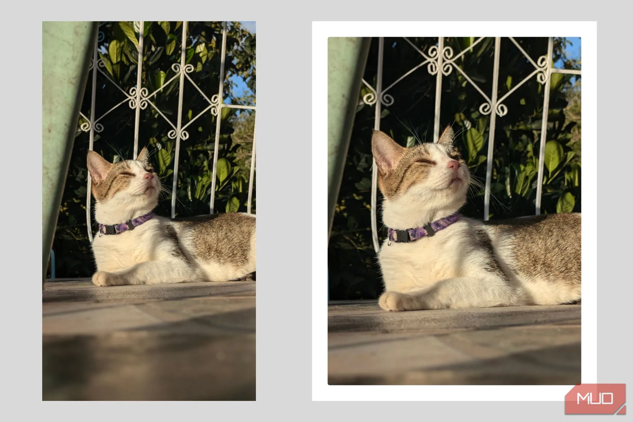 Ảnh chụp với tỷ lệ 4:3 và viền trắng, mô phỏng ảnh Polaroid retro