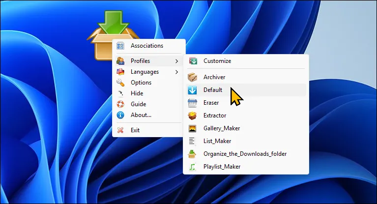 Các tùy chọn của DropIt hiển thị trên màn hình desktop Windows 11, cho phép thiết lập quy tắc sắp xếp tệp.