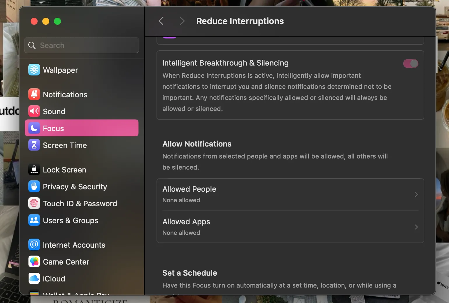 Cài đặt chi tiết của chế độ Tập trung Reduce Interruptions trên máy Mac, cho phép người dùng tùy chỉnh sâu hơn.