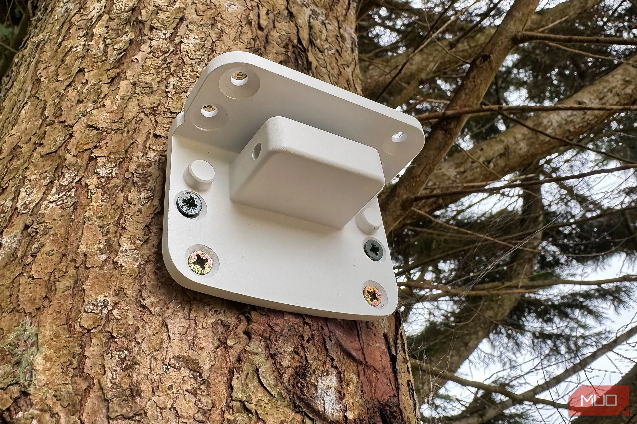 Camera Reolink Altas PT Ultra được gắn cố định vào thân cây bằng giá đỡ