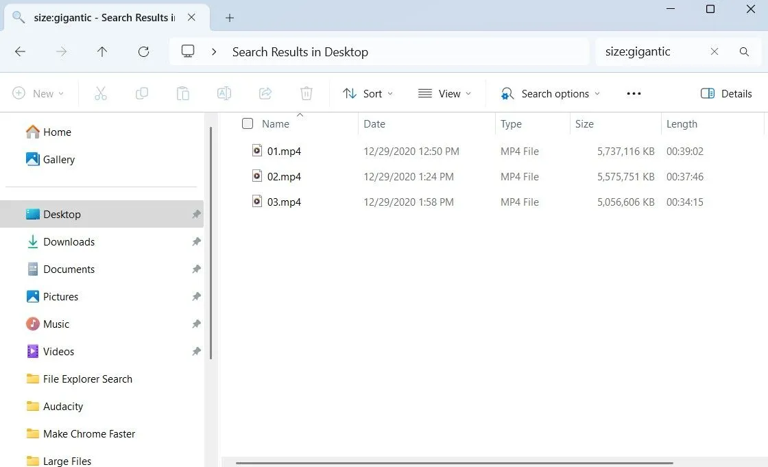Cửa sổ File Explorer hiển thị kết quả tìm kiếm các tệp tin lớn theo kích thước