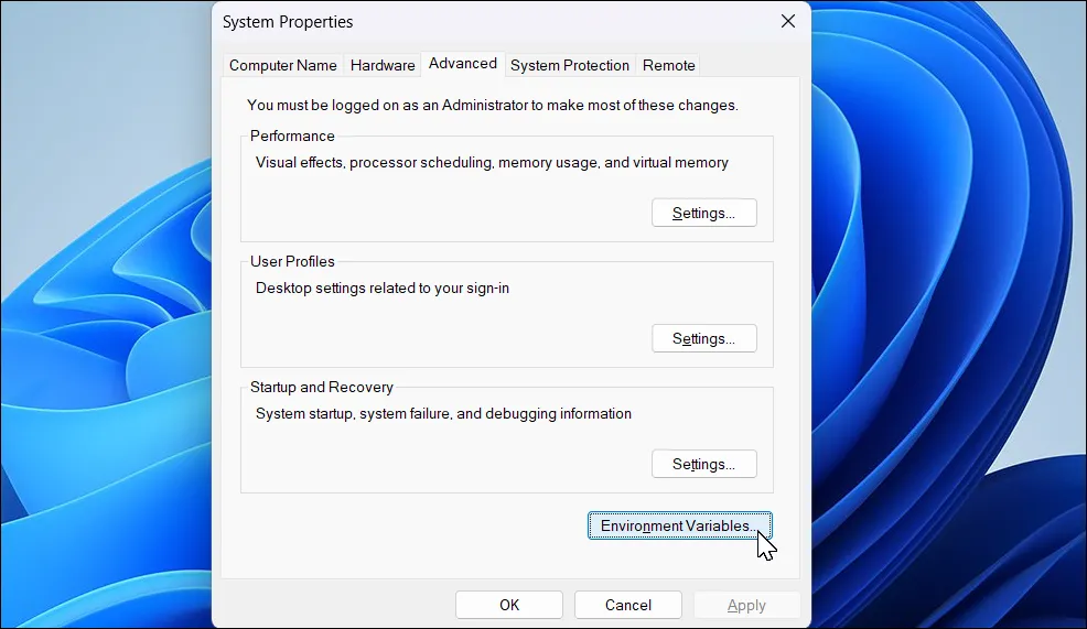 Cửa sổ System Properties trong Windows 11, hiển thị tùy chọn &quot;Environment Variables&quot;