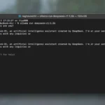 DeepSeek-R1 đang chạy trong cửa sổ Terminal sau khi cài đặt Ollama