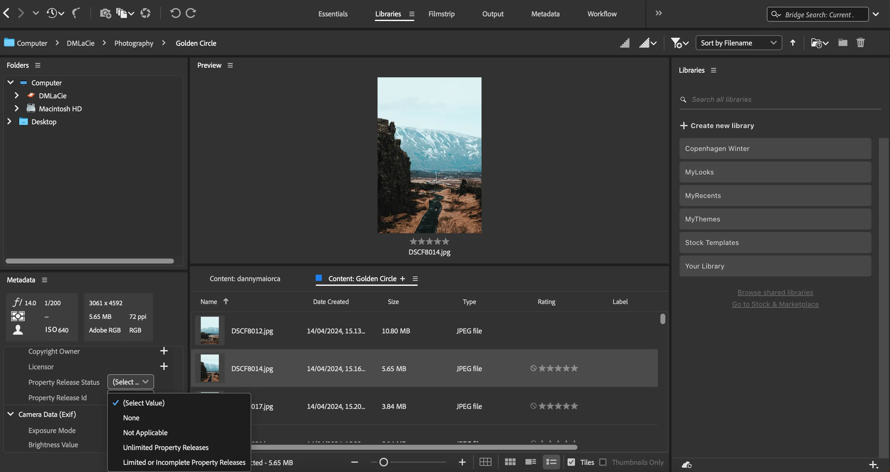 Điền thông tin ID tài sản trong Adobe Bridge để bảo vệ bản quyền ảnh