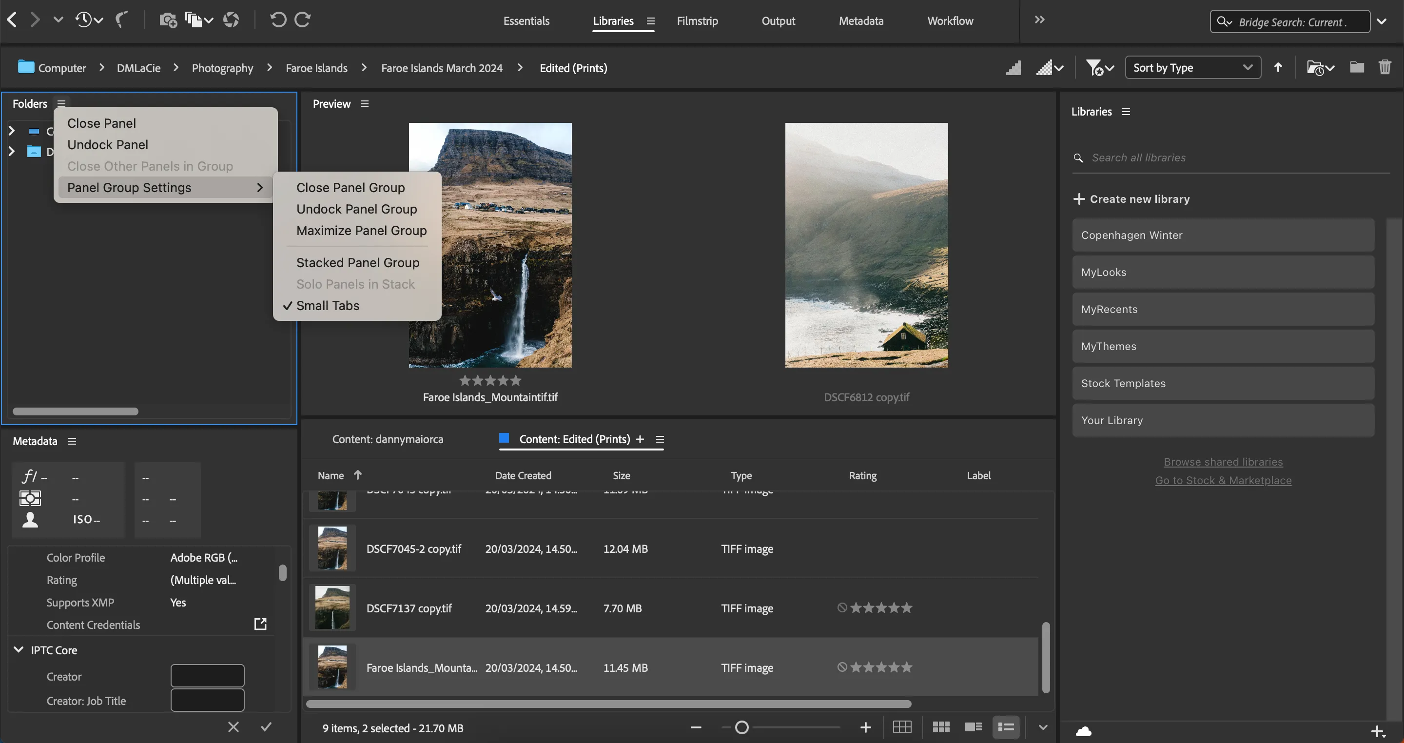 Giao diện cài đặt bảng điều khiển trong phần mềm Adobe Bridge giúp quản lý ảnh hiệu quả