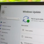 Giao diện Cài đặt Windows 11 hiển thị mục Cập nhật Windows