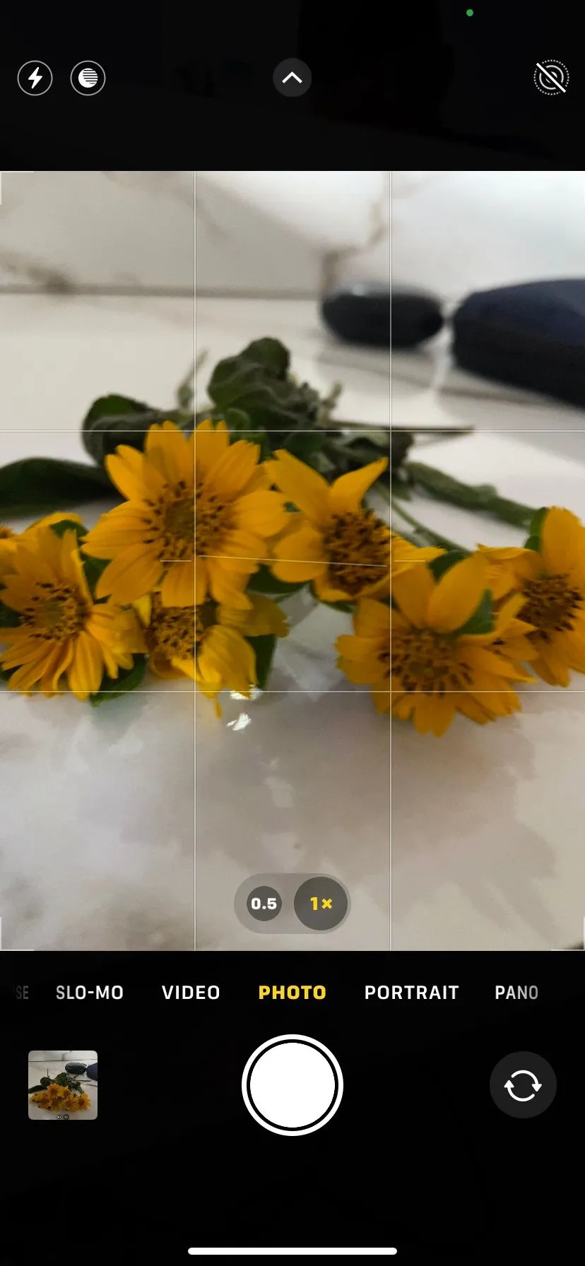 Giao diện camera iPhone với lưới căn chỉnh (gridlines) được bật, hỗ trợ bố cục ảnh cân đối