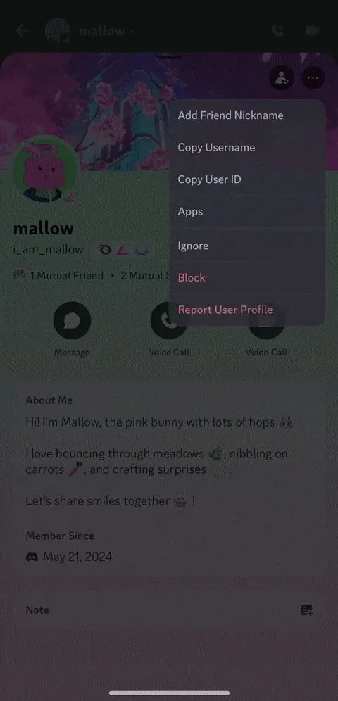 Giao diện hồ sơ người dùng trên Discord, hiển thị tùy chọn 'Ignore' để quản lý tương tác