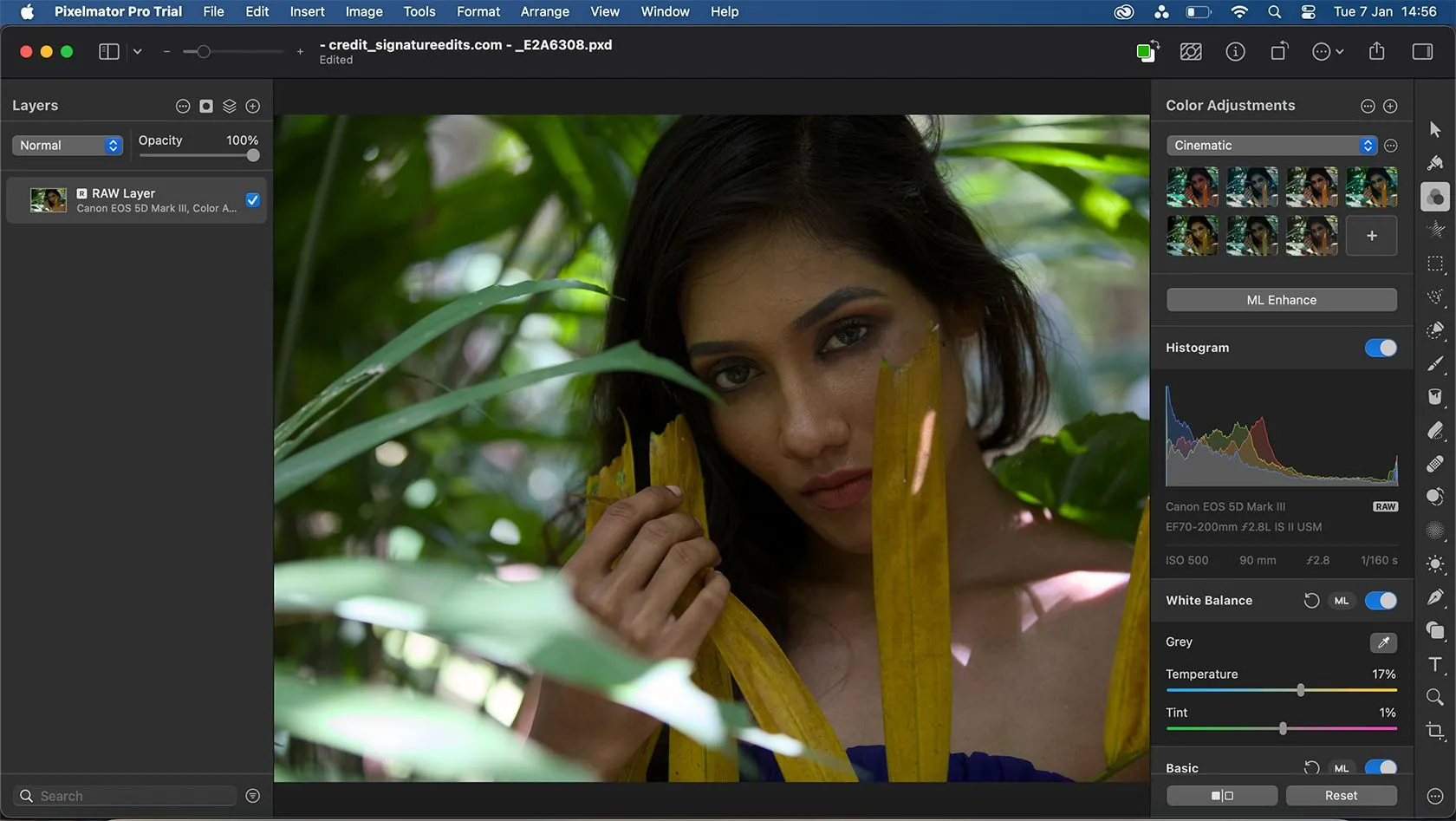 Giao diện Pixelmator Pro khi chỉnh sửa file RAW, cho phép áp dụng các điều chỉnh và sửa đổi theo từng lớp.