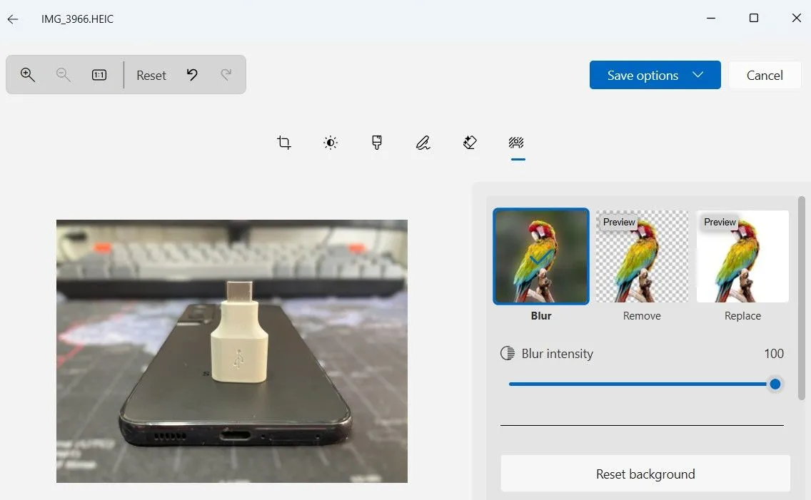 Giao diện tính năng xóa nền ảnh trong ứng dụng Photos Windows 11