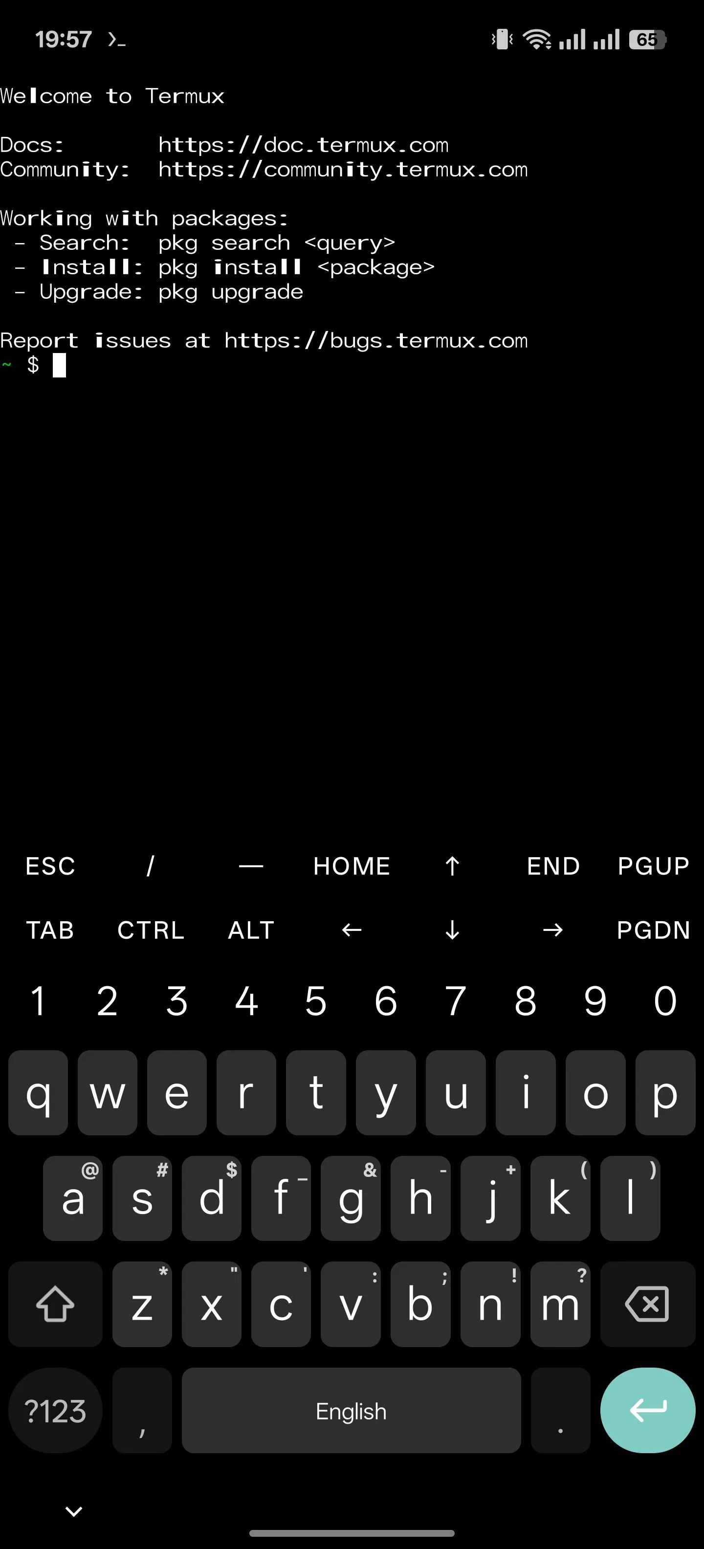 Giao diện ứng dụng giả lập Termux đang hoạt động trên điện thoại Android.