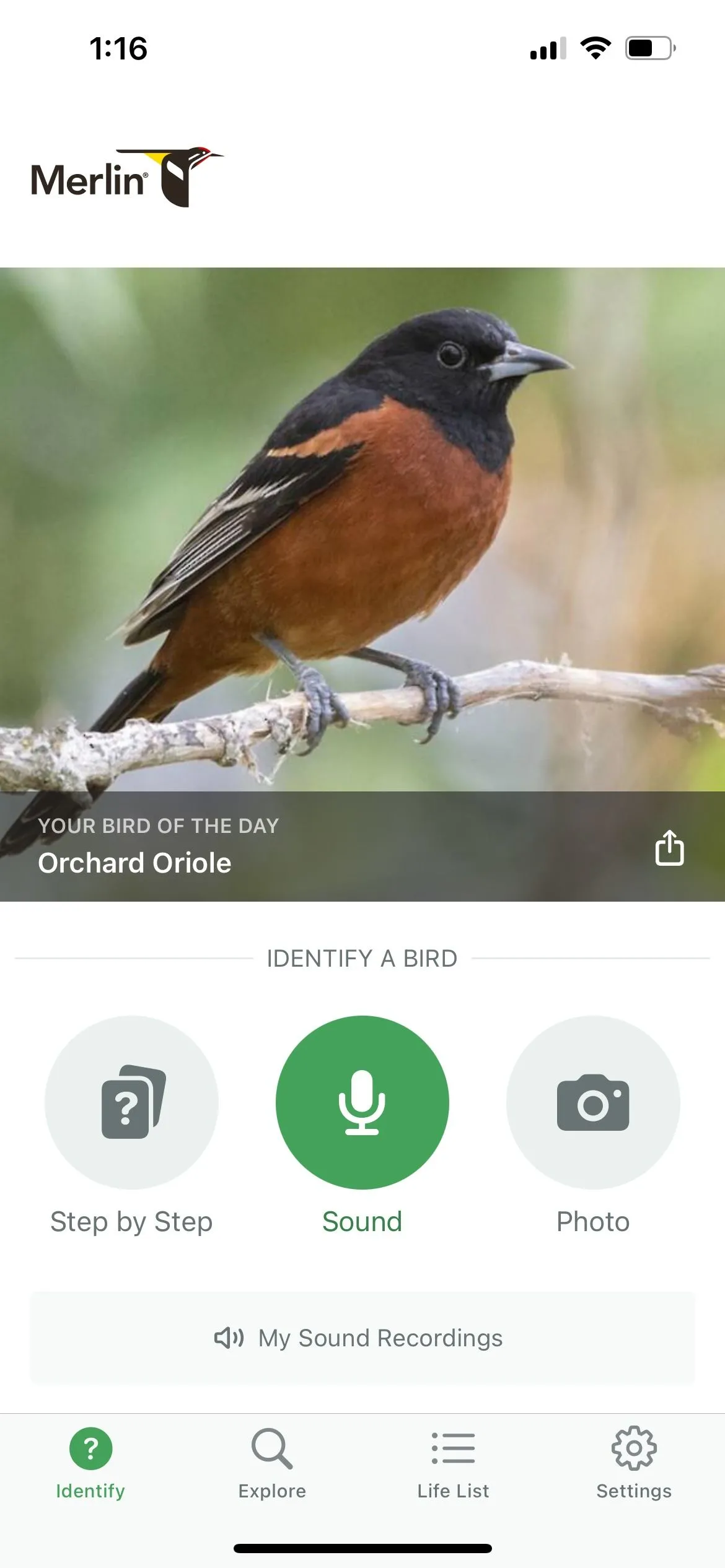Giao diện ứng dụng Merlin Bird ID nhận diện chim