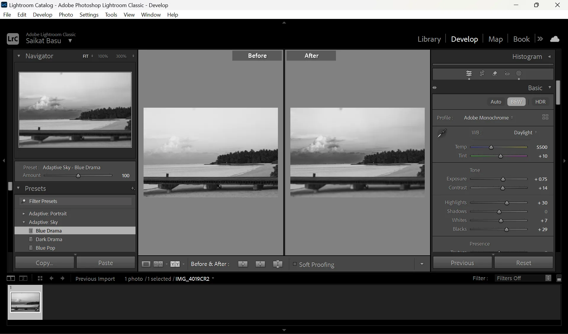 Hình ảnh so sánh trước và sau khi áp dụng filter trong Lightroom