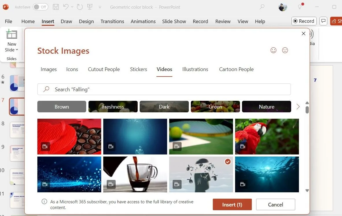 Hộp thoại hình ảnh kho (stock images) hiển thị video với nút chèn trong PowerPoint