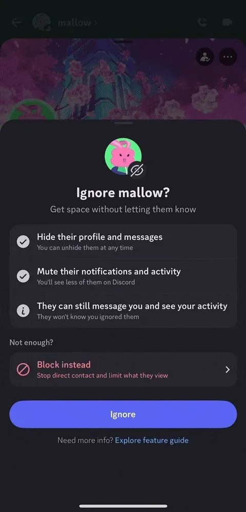 Hộp thoại xác nhận của Discord khi người dùng chọn 'Ignore', đảm bảo thao tác đúng