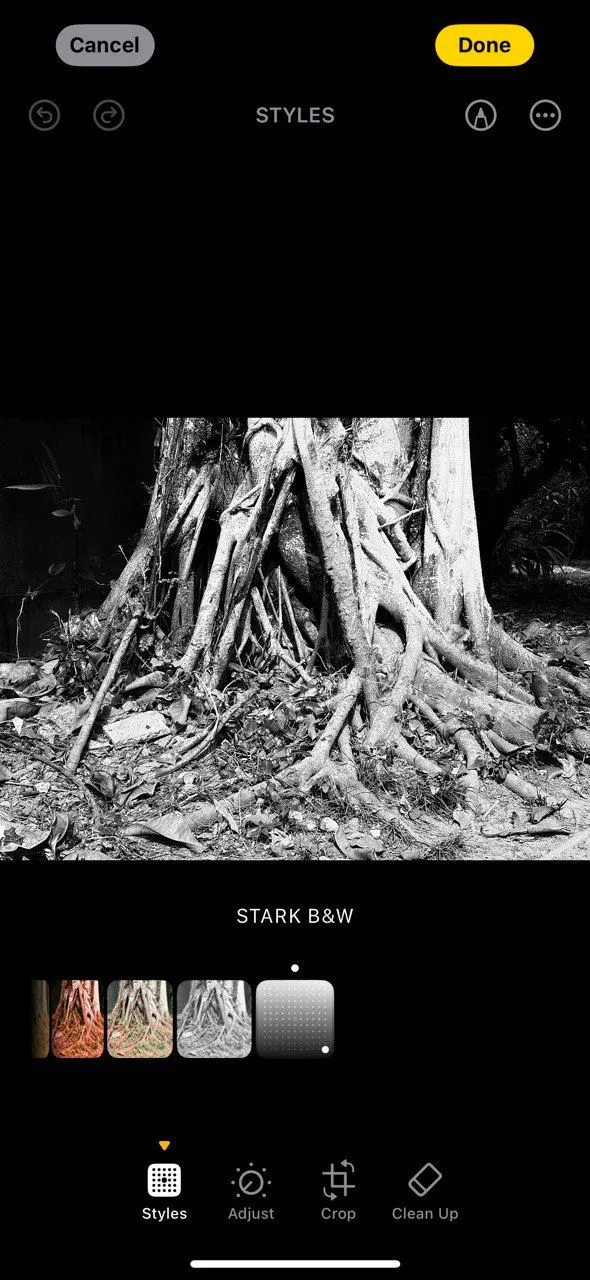 Kiểu Chụp Ảnh Stark B&amp;W ấn tượng trên iPhone 16