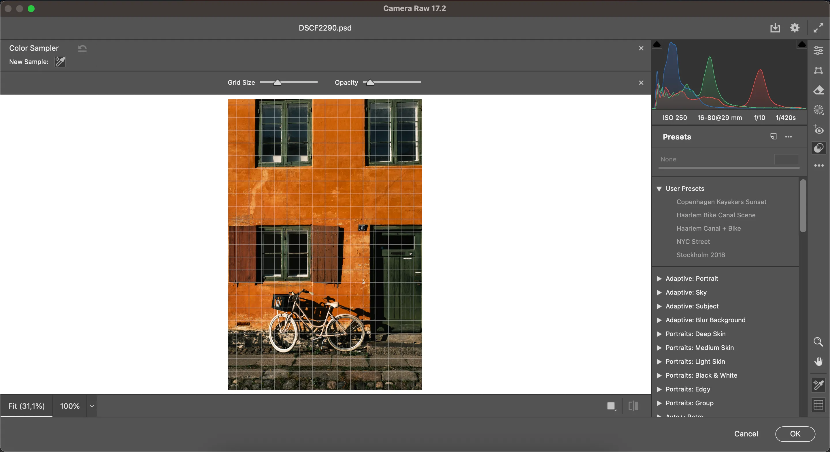 Màn hình chỉnh sửa ảnh trong Camera Raw với biểu đồ và các thanh trượt điều chỉnh màu sắc, độ sáng