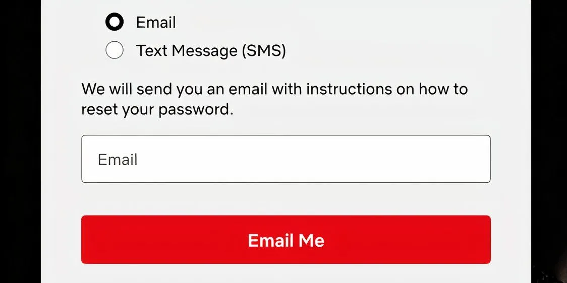 Màn hình yêu cầu Netflix gửi email hướng dẫn khôi phục mật khẩu.