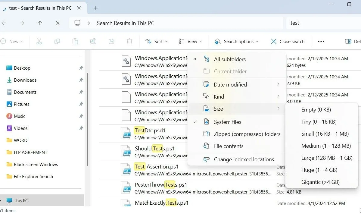 Menu tùy chọn tìm kiếm (Search options) trong File Explorer trên Windows