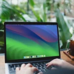 Người phụ nữ đang gõ phím trên MacBook Air chạy macOS Sonoma để nghiên cứu thông tin công ty lừa đảo online