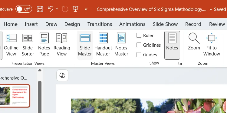 Nút Slide Master (Trang chiếu cái) trong tab View của PowerPoint.