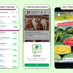 Quảng cáo xuất hiện trong phần Trạng thái (Status) của WhatsApp