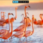 Thanh công cụ ghi màn hình của Snipping Tool trên Windows 11 với tùy chọn micro và âm thanh hệ thống.