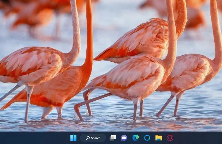 Thanh Taskbar gọn gàng của Windows 11 với các biểu tượng ứng dụng và khu vực hệ thống