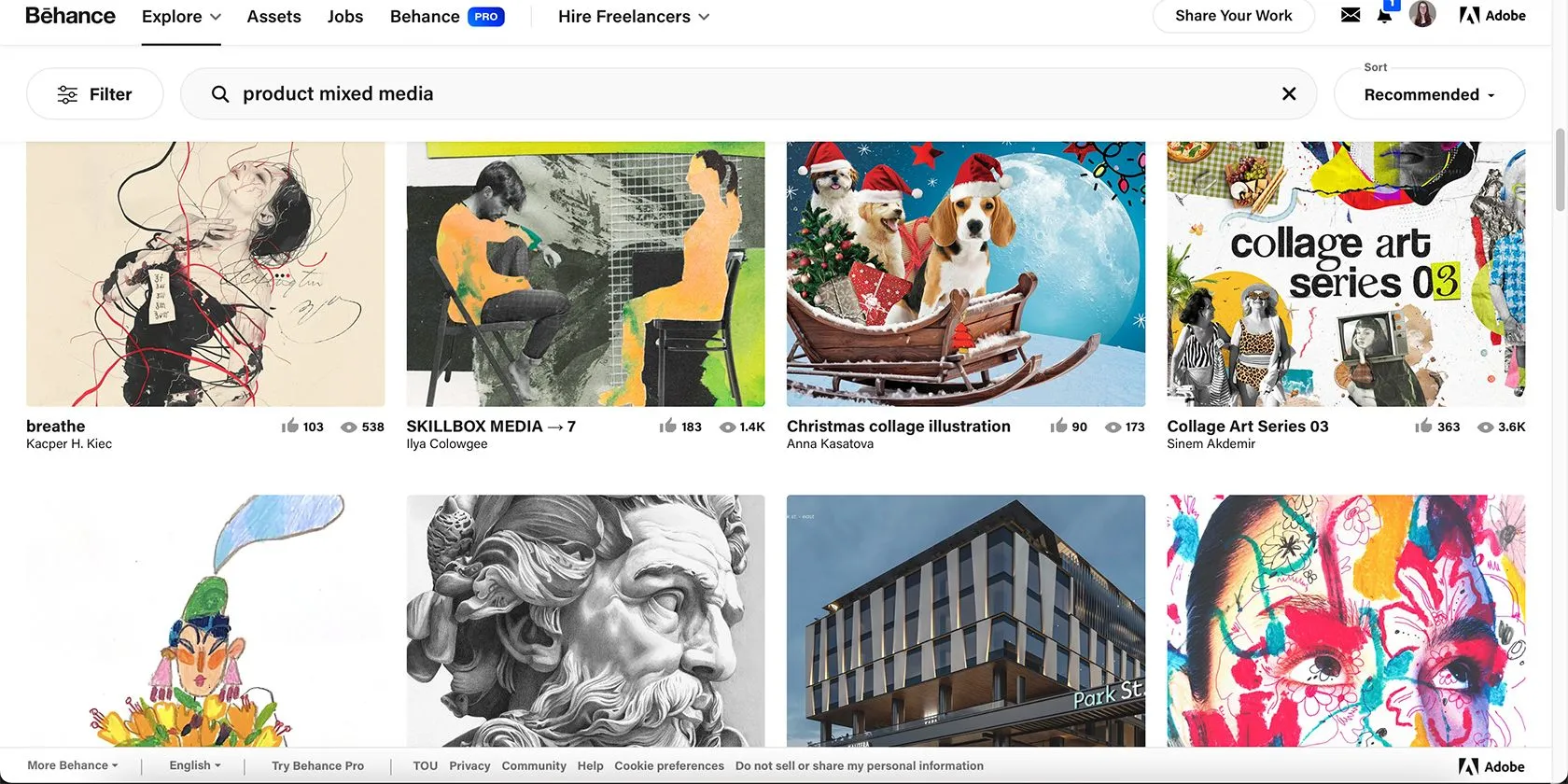 Thiết kế đa phương tiện trên Behance, kết hợp nhiều yếu tố và kỹ thuật để tạo ra một hình ảnh động và phức tạp.