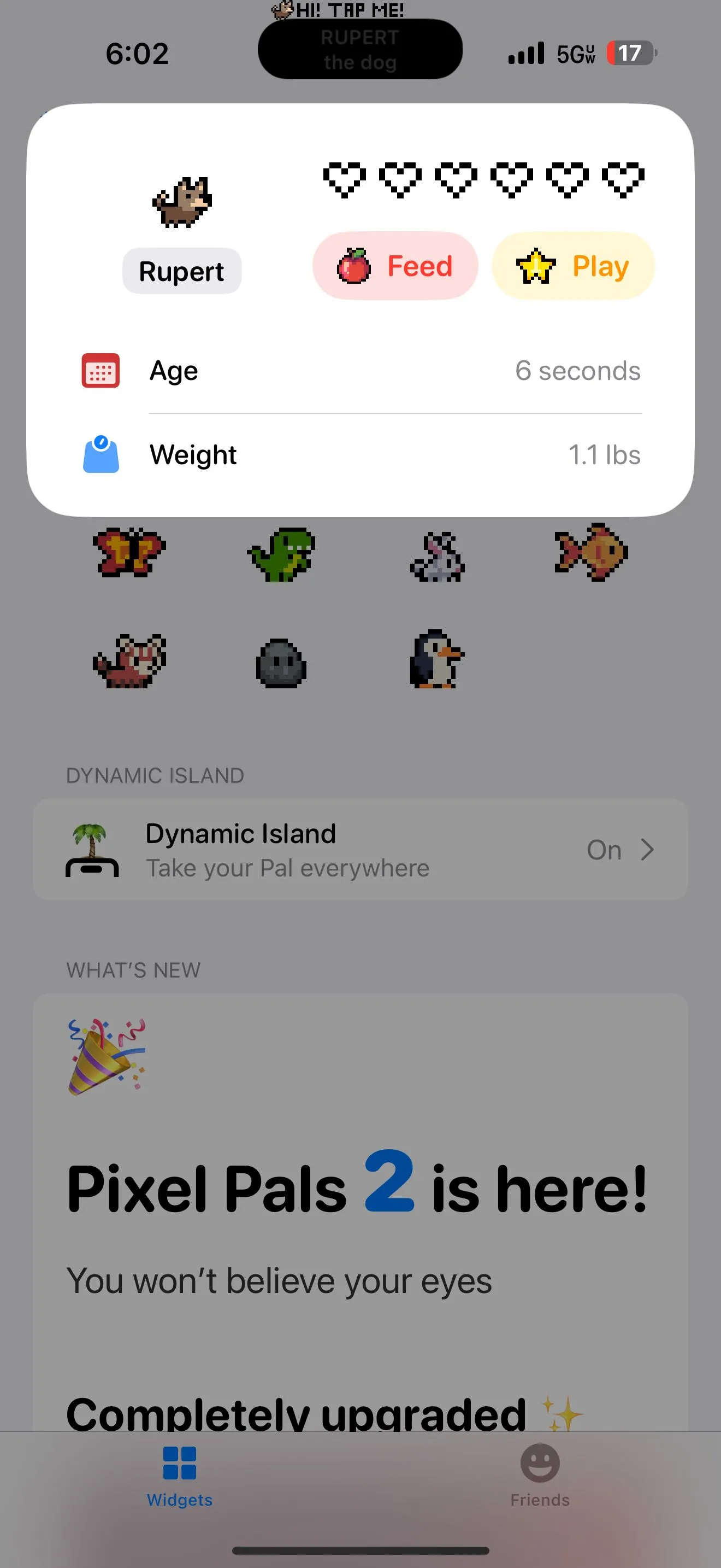 Thông tin thú cưng chú chó trong ứng dụng Pixel Pals cho Dynamic Island