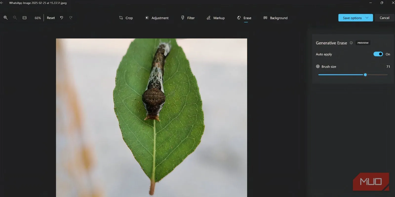Thử nghiệm Generative Erase trên hình ảnh con bọ trên lá trong ứng dụng Microsoft Photos