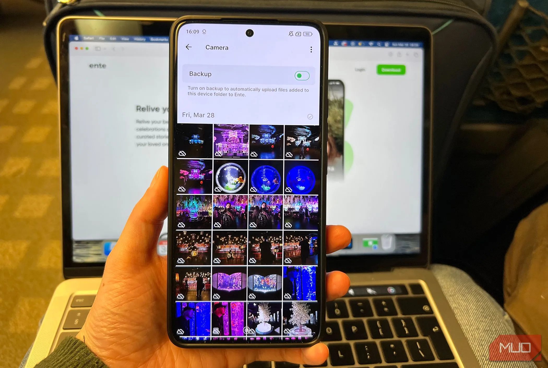 Thư viện ảnh của Ente Photos hiển thị trạng thái sẵn sàng sao lưu, minh họa giao diện người dùng thân thiện và việc bảo vệ dữ liệu tự động.