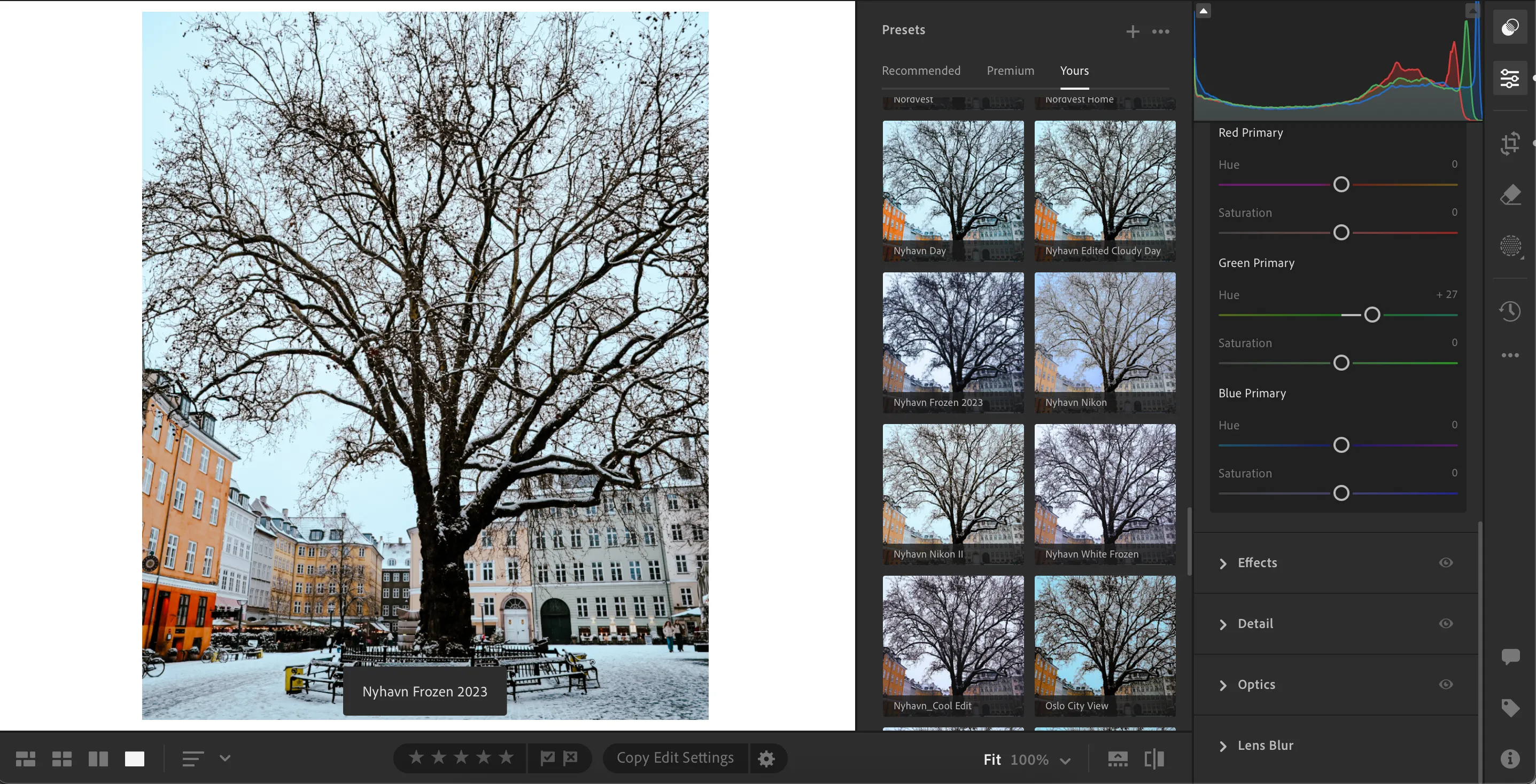 Thư viện preset đa dạng trong Adobe Lightroom, thể hiện khả năng tùy chỉnh phong cách ảnh chuyên nghiệp.