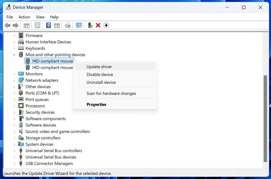 Tùy chọn 'Cập nhật Driver' cho chuột trong cửa sổ Device Manager trên Windows.