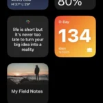 Widget Google trên iOS